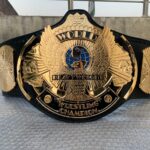 Winged Eagle Championship Belt – Premium Fan Replica